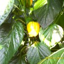 윤정수농장 이미지