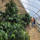 원아농장 이미지