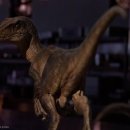 주라기스튜디오 Daum카페