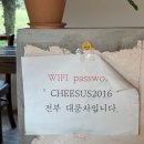 제주와요 | [제주시/구좌읍] 제주 동쪽 맛집 ‘치저스’ 예약 필수! 전 메뉴 내 돈 내산 후기