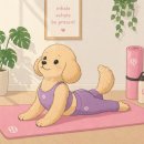 안경나라충대점 | 일반 요가원이랑 충대 스포렉스 요가 후기