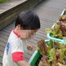 반포써밋, 반포써밋비에스피(BSP)어린이집 이미지