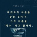 다해온