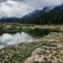 강변의 숲속 이미지