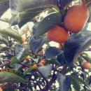 한이 경로당 이미지