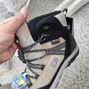 3301 | 다이와 DS-3301G 낚시화 구입(내돈내산)