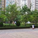 호평파라곤마트 이미지