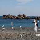 파도 한 송이 이미지