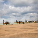 블랙이글 이미지