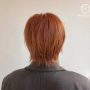 바이주니헤어여서동