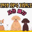 헬로펫 효자점 이미지