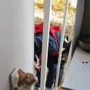 수리야 놀자 이미지