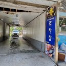 꿈나무 열대어 이미지