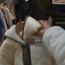 미니미(MINIME) 이미지