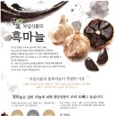 부일식품 네이버블로그