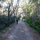 강천산 단풍산행. 금성산성 남문-북문-송낙바위-제2강천호-단풍공원 이미지