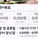 고양이정원 이미지