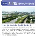 세교8길 이미지