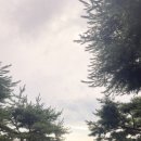 큐밥 이미지