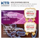 세교한국태권도장 이미지