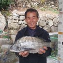 고고펜션 이미지