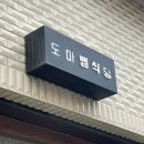 도마뱀식당 | 망원동 도마뱀식당 :: 망리단길 조용한 분위기의 수제커리 맛집