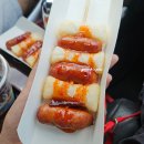 오늘하루 애견 동반 스파펜션 | 가평 애견 동반 펜션 | 오늘하루 애견동반 스파펜션 | 강아지 수영장이 있는 가성비 펜션
