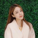 윤진이 카카오 검색결과