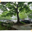 주공2,3단지아파트입구(26053) | 인천 만수주공 2단지, 세대를 이어온 아파트의 따뜻한 이야기