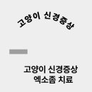 링크늘푸른동물병원 이미지