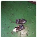 열림카서비스 이미지