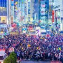 시부야 이미지