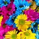 등촌사우나 이미지