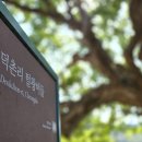 덕촌리
