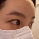 세니브로우 | 울산 내돈내산 속눈썹펌 세니브로우 후기