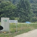 네이처 스테이 | 경기 양평 메타세콰이어 숲속캠핑장 스테이네이처 C존 후기
