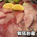 하이카서비스방어1점 | 인천 운서역 근처 회뜨는중 영종운서점 내돈내산 솔직후기 | 메뉴 추천, 가격, 주차정보