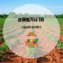 손해평가사 1차 | 손해평가사 1차 시험과목 합격후기