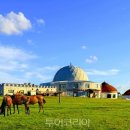 (주)자연투어 이미지