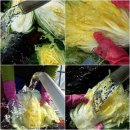 무농약 해남황토 절임배추 예약판매(20kg-3만원) 이미지