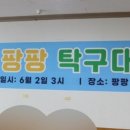 팡팡탁구