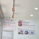 구구집 | 속초 영랑호 주변 [구구집] 내돈내산 후기(물회, 게살비빔밥, 오징어순대)