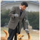 비상초등학교 이미지