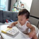 컨셉키친(CONCEPT KITCHEN) | 마엘 모스틀리 사운드북 리뷰 | 키친·컨셉·애니멀 3종 솔직 후기 &amp; 활용 꿀팁