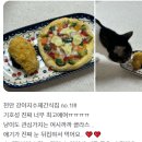 까까멍멍 | &lt;쌍용동 애견동반 카페&gt; 여시까까