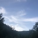 은적자연관광농원 네이버블로그