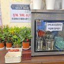 우리할매떡볶이 진천읍점 네이버블로그