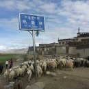티베트 카일라스 순례 여행기 -4. 세상의 어머니 초모랑마를 향하여! (2) 이미지