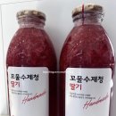 총각네리센츠