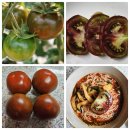 정품같은 비품/흑토마토비품 5.2키로 오늘 4박스 발송가능합니다 이미지